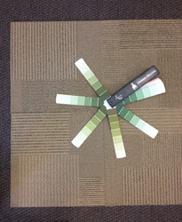 New Carpet & Color Wheel